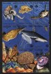 Marine Life
