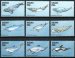 Whales and Dolphins