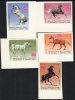 Horses
