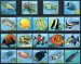 Marine Life