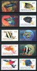 Tropical fish