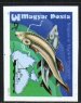 Sturgeons and map of Danube
