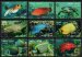 Marine Life, turtle, eel, fish
