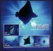 Manta and Devil Rays