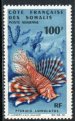 Lionfish