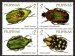 Beetles