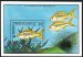 Yellow tail snapper